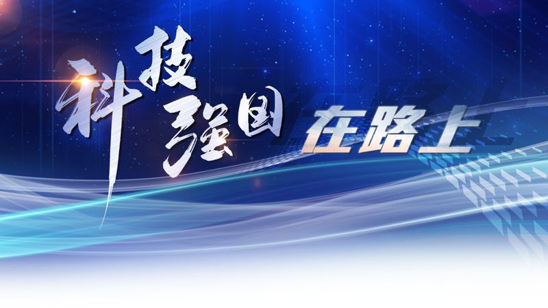 运维服务与IT支持：本质区别与关键考量**