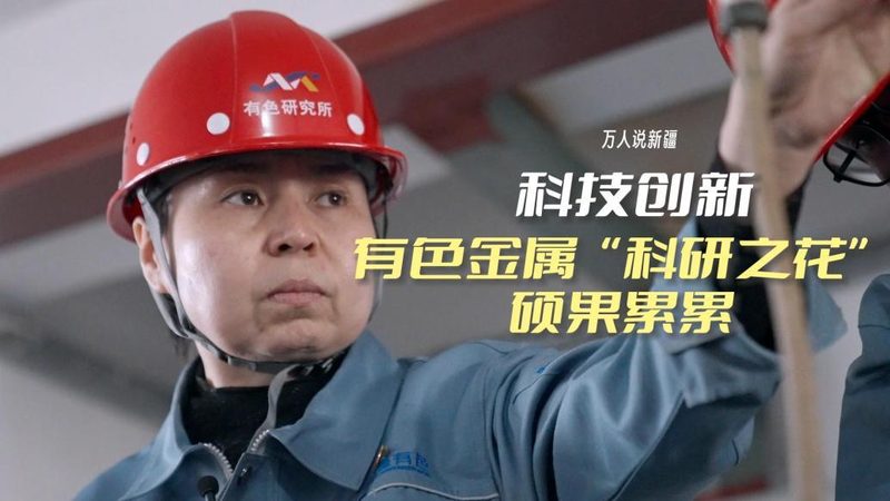 成都数字化供应商市场解析：批发价格背后的考量因素